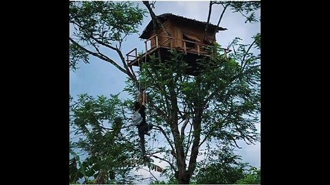 “Exploring a Wooden House in the Enchanted Forest”.