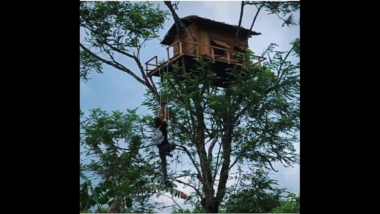 “Exploring a Wooden House in the Enchanted Forest”.