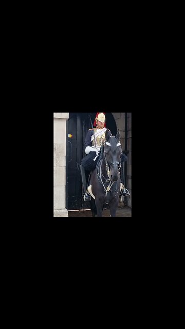 She gets away with it #horseguardsparade