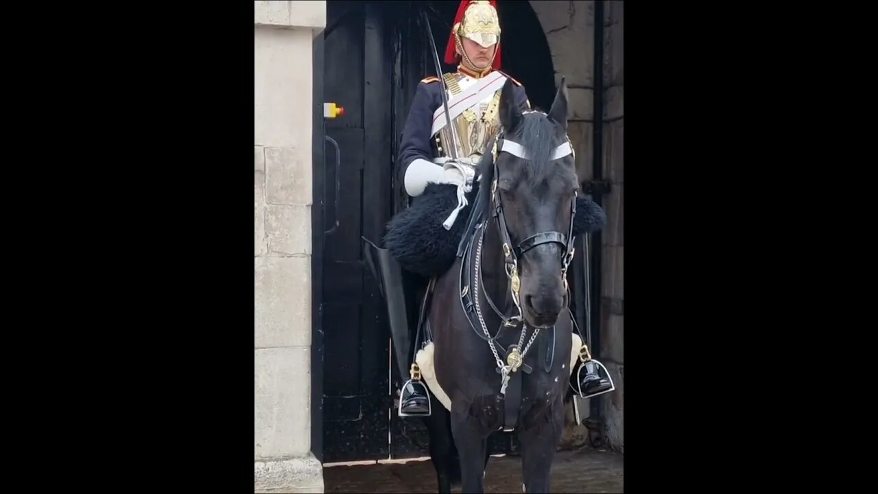 She gets away with it #horseguardsparade