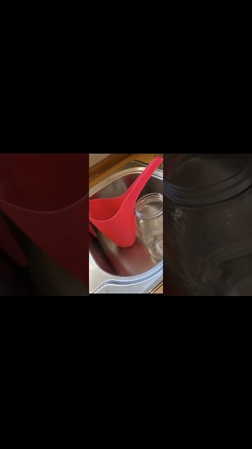 Get those seeds started 2022