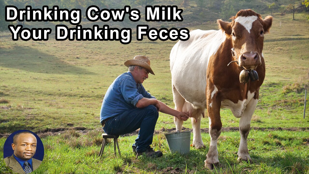 Anytime People Are Drinking Cow's Milk They're Also Getting A Dose Of Feces