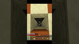 I Can't See! | Minecraft #shorts
