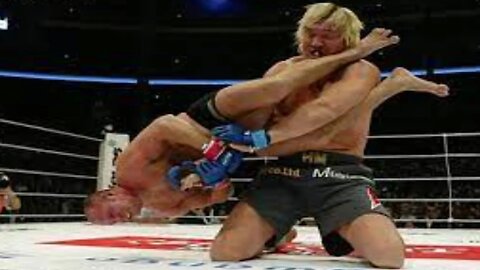 Brutal Flying Armbar Rarest Submissions Ever in UFC - MMA Fighter