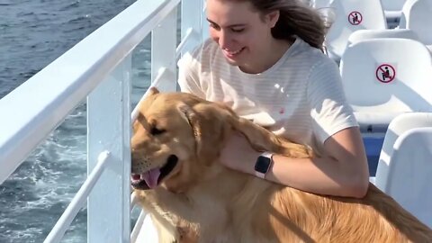 Surprising My Dog With A Seaside Vacation