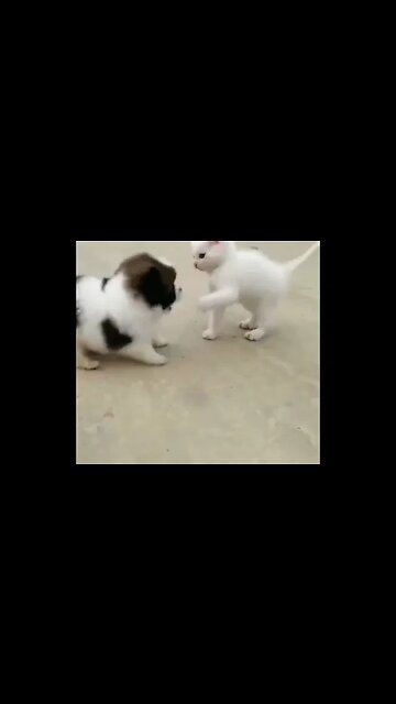 New best friends forever ❤️