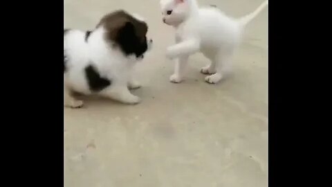 New best friends forever ❤️