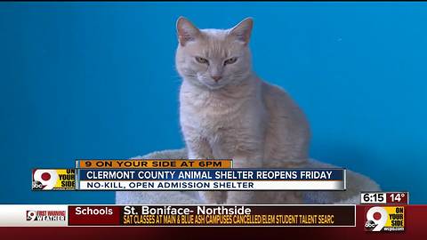 Clermont County Animal Shelter reopens Friday