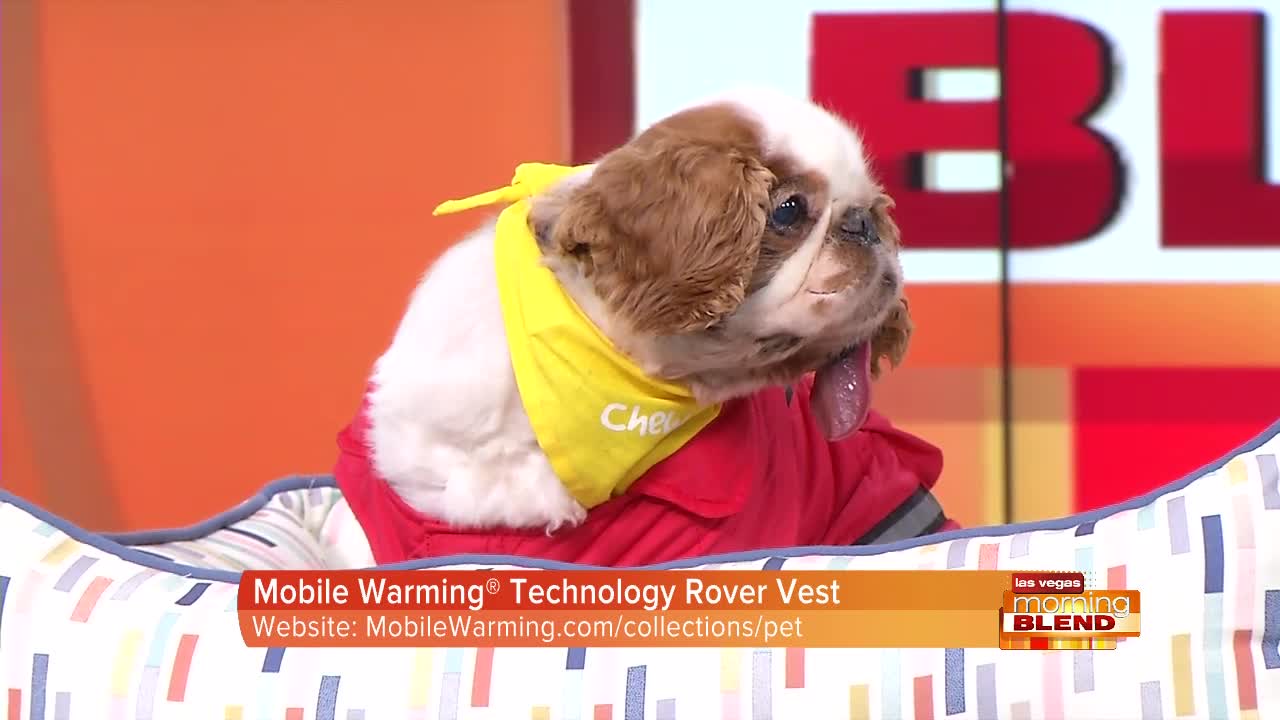 Pet Health, Wellness And Safety