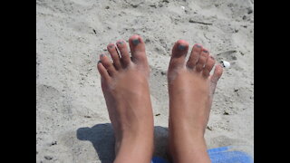 Carolina Summer Time