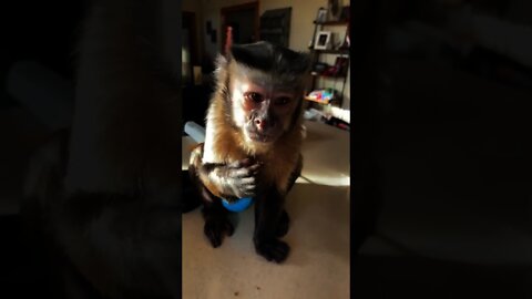 Gaitlyn Rae's Video