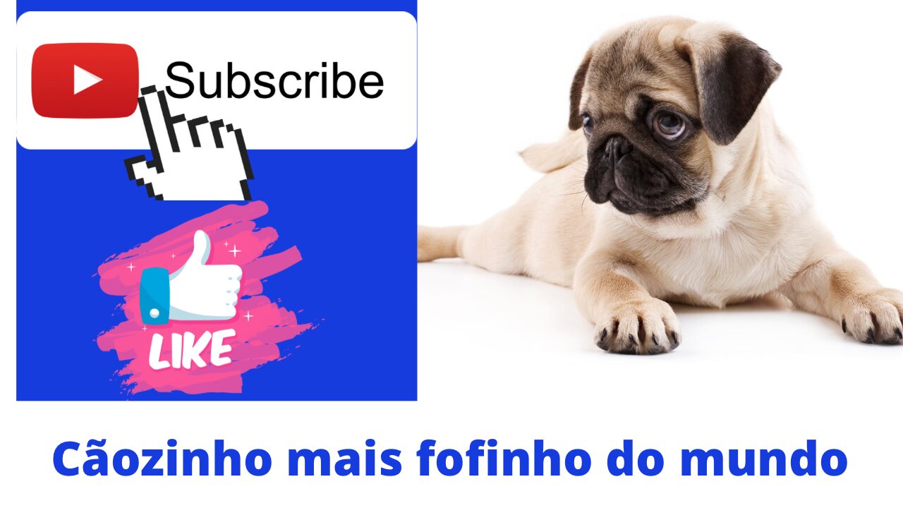 Que coisa mais linda veja até o final deixa o Like se escreva