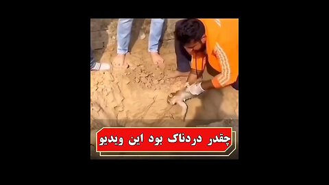 The most emotional video ever!