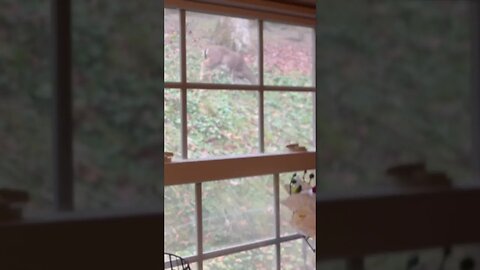 So Much Beauty Outside Just So Peaceful