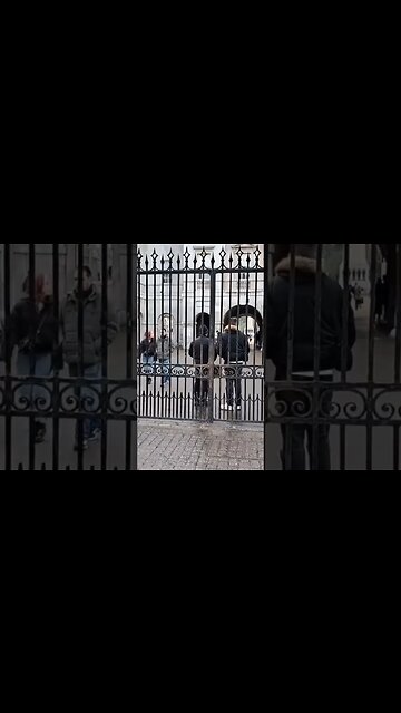 Mum moves the kid #horseguardsparade