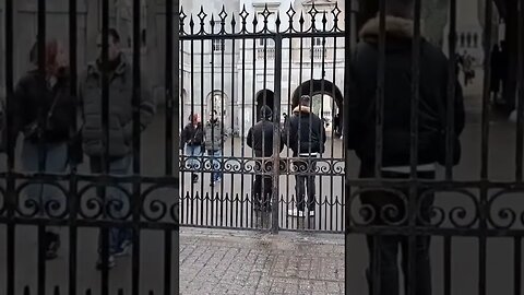 Mum moves the kid #horseguardsparade