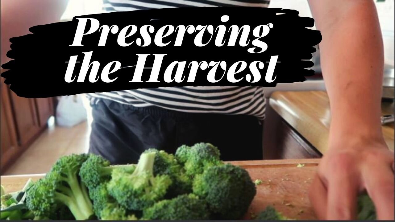 Preserving the Harvest from our Garden