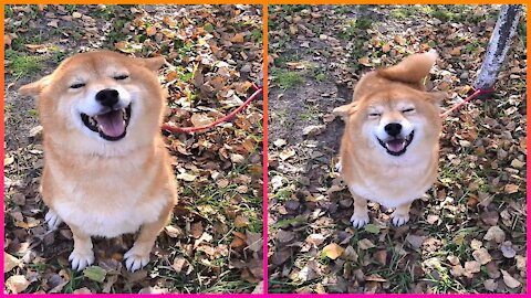 Autumn is here, and the smile is still sweet!