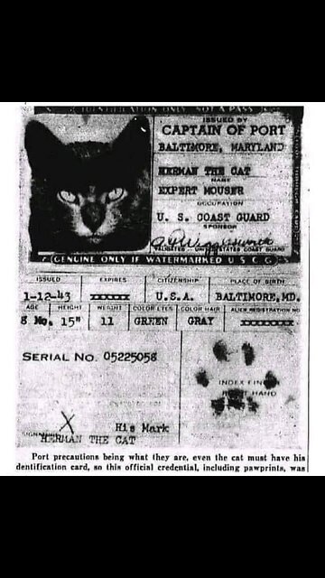 G'night fam 🤗🤗🤗 Stay healthy 👍🏻