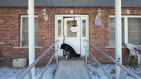 Christmas Drone