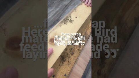 👀 Erik made a BIRD FEEDER from wood SCRAPS! #shorts #diyprojects