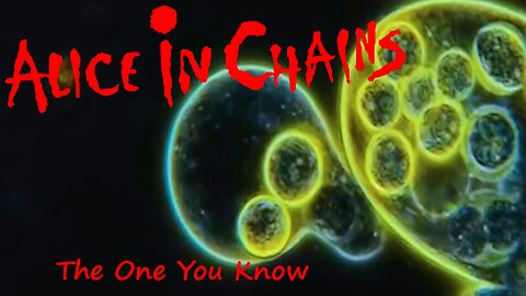 Alice In Chains - The One You Know (Official Music Video)