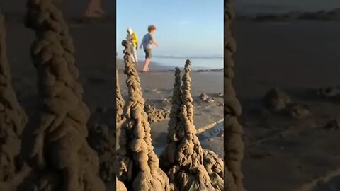 beauty from the sand