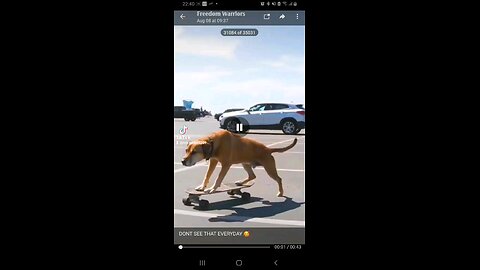 Skateboard riding by dog !!!