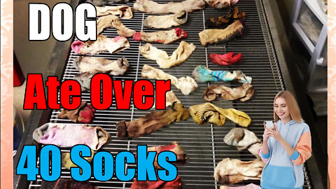 The Time a Dog🐕 ate over 40 Socks🧦