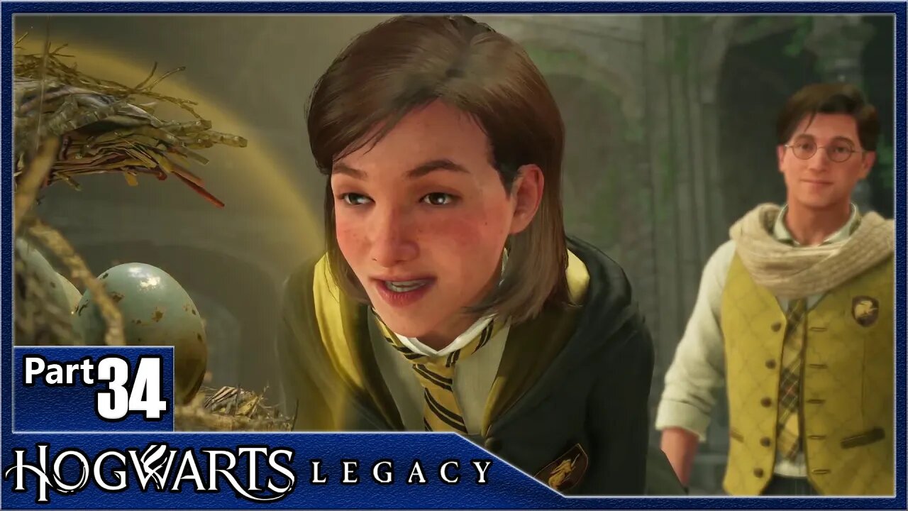 Hogwarts Legacy, Part 34 / It's In The Stars, A Bird In The Hand, Harlow's Last Stand, Poppy Blooms