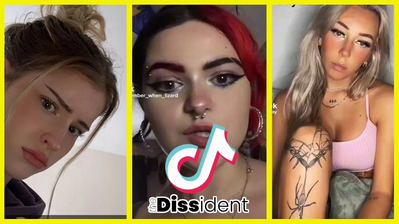 MGTOW Compilation (Part 26) | A TikTok Compilation of Men Going Their Own Way