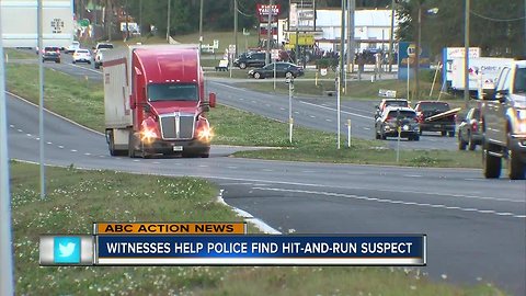 Suspect in deadly Dade City hit-and-run arrested after being following by witnesses