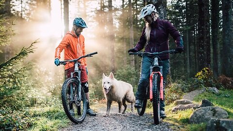 We Are Wolfpack Adventures