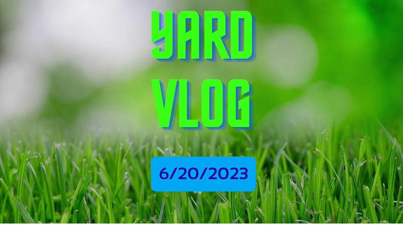 Yard Vlog 6/20/23