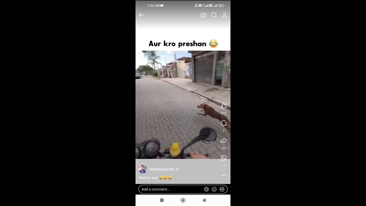 what the fuck, kutte khani