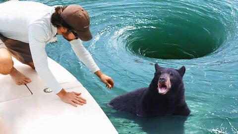 Animals That Asked People for Help & Kindness