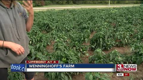 Wenninghoff's is a throwback to fall on the family farm