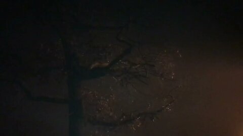 Really Foggy outside Chicagoland area at 1:00 AM Monday January 2nd 2023