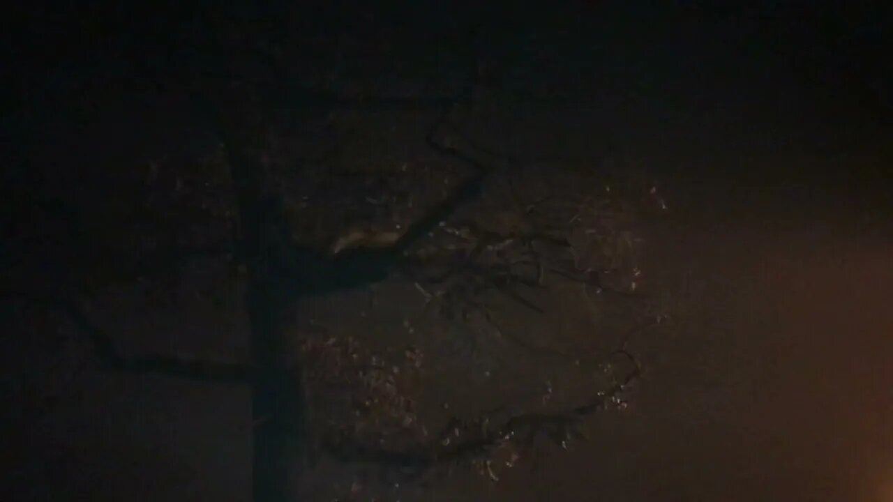 Really Foggy outside Chicagoland area at 1:00 AM Monday January 2nd 2023