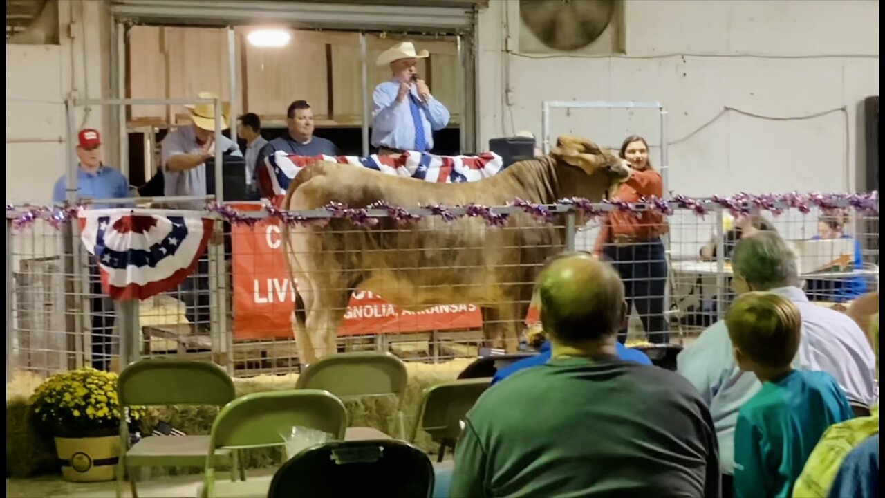 Congrats 🌟Taylor Orrell🌟 & Ollie Participating At Columbia County JR Livestock Premium Sale 2021