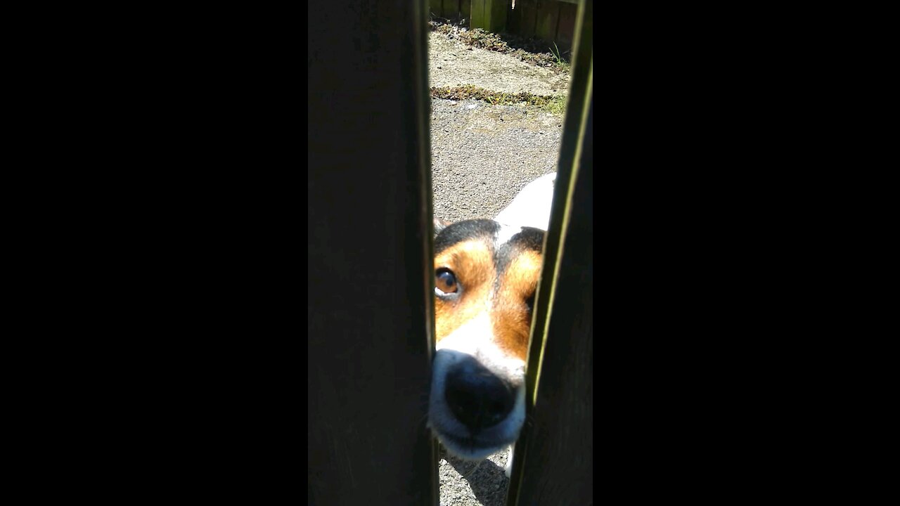 Friday Afternoon Greeting.
