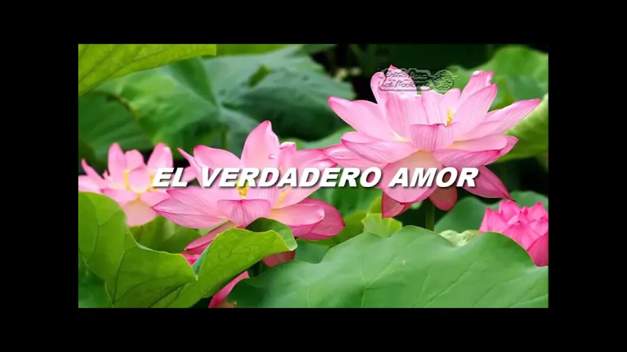 EL VERDADERO AMOR