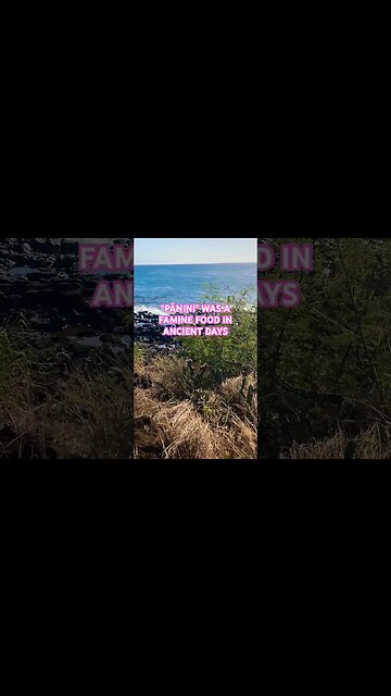 HAWAIIAN CACTUS FLOWERS #aloha