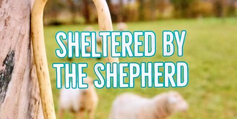 Sheltered by the Shepherd 05.02.2021