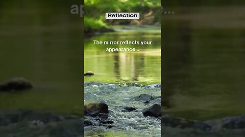 The mirror reflects your appearance #shorts #facts #reflexiones