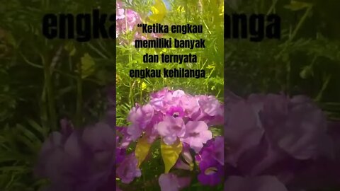 Kata Motivasi "MEMILIKI BANYAK HILANG SEDIKIT" #shorts #shortskatakatabijak