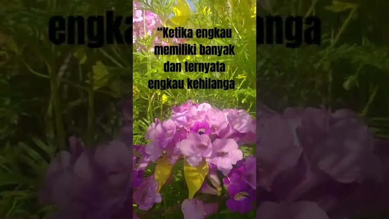 Kata Motivasi "MEMILIKI BANYAK HILANG SEDIKIT" #shorts #shortskatakatabijak