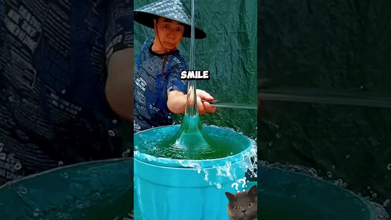 The End 🤣 Granny's Ashes