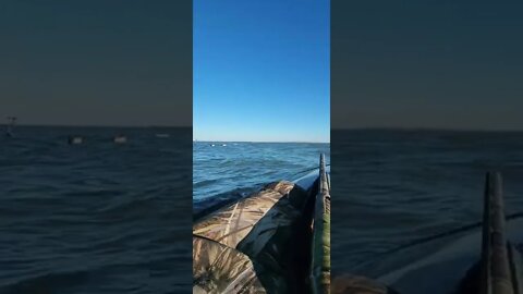 Swwwwing and a miss for my buddy lol! Divers can be challenging!