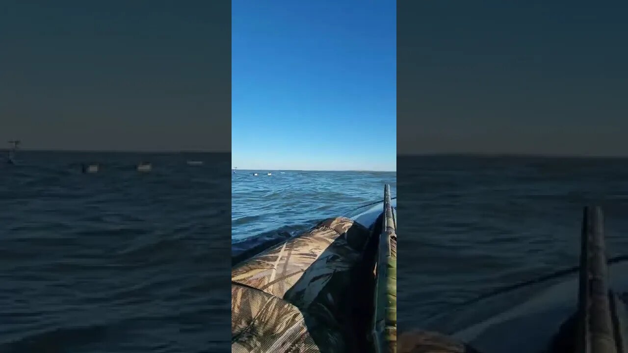 Swwwwing and a miss for my buddy lol! Divers can be challenging!